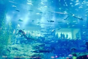 dubai-aquarium